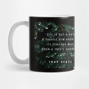 John Keats quote:  life is but a day; A fragile dew-drop on its perilous way From a tree's summit Mug